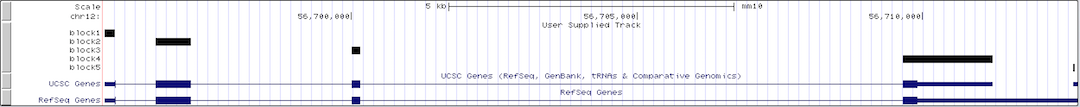 Genome Browser default gene display