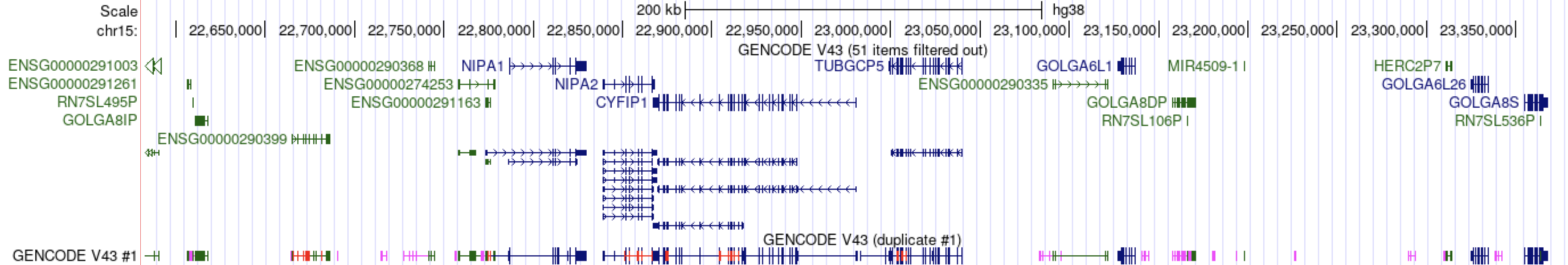 GENCODE V43 duplicate